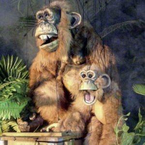 Les singes Les singes
