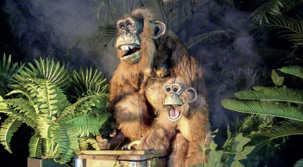 Les singes Les singes